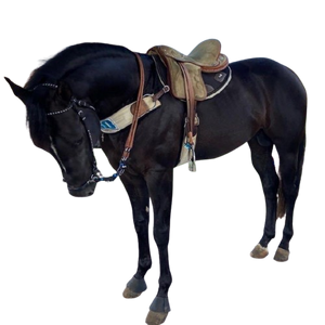 Ração Cavalos